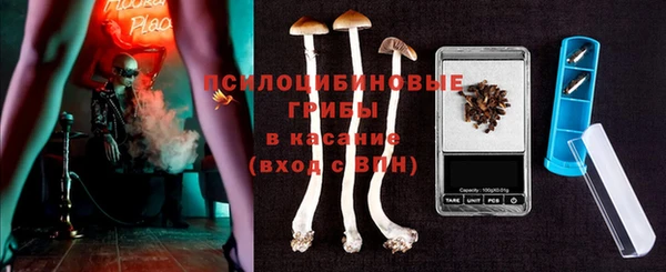 ECSTASY Алексин